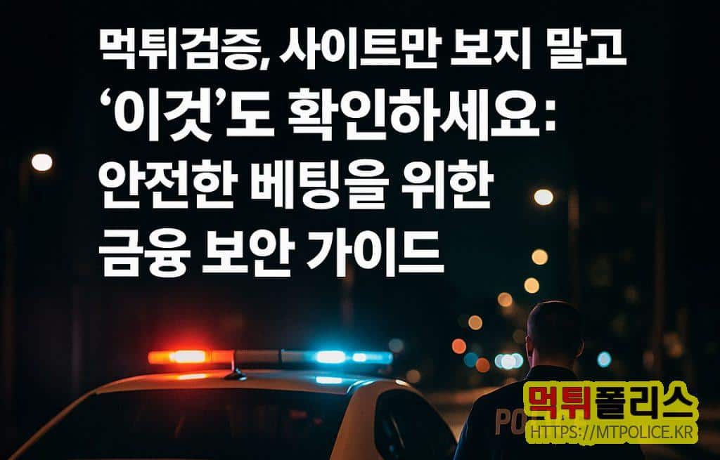 먹튀검증-금융보안