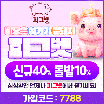 뉴 피그벳
